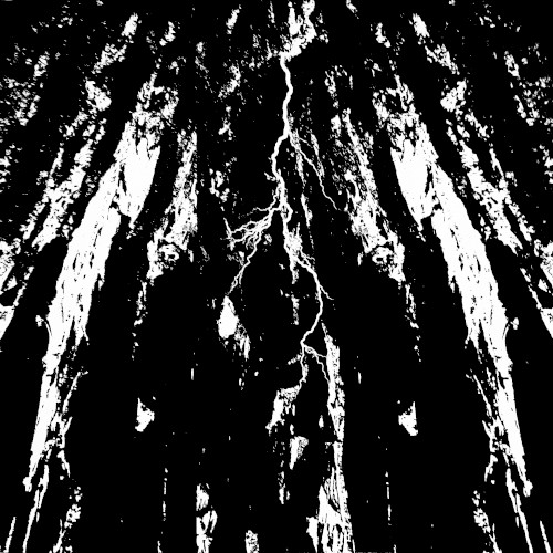 Black Trance
