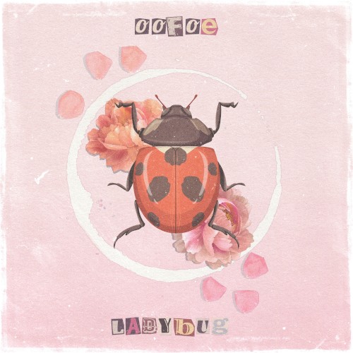 ladybug