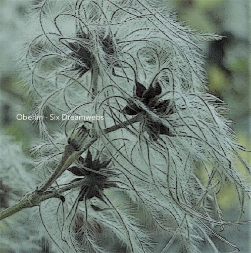 Six Dreamwebs