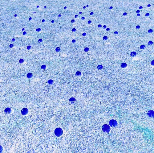 orgone music for the ancients