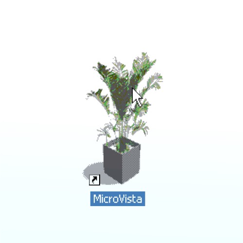 MicroVista