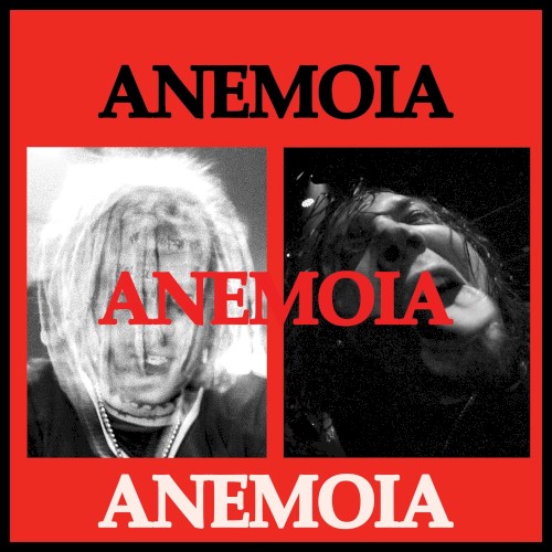 Anemoia