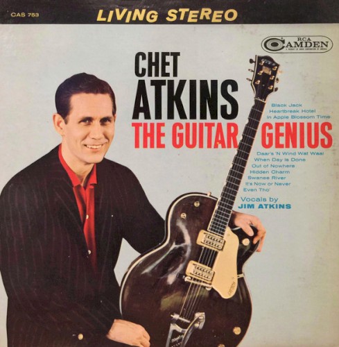 The Guitar Genius