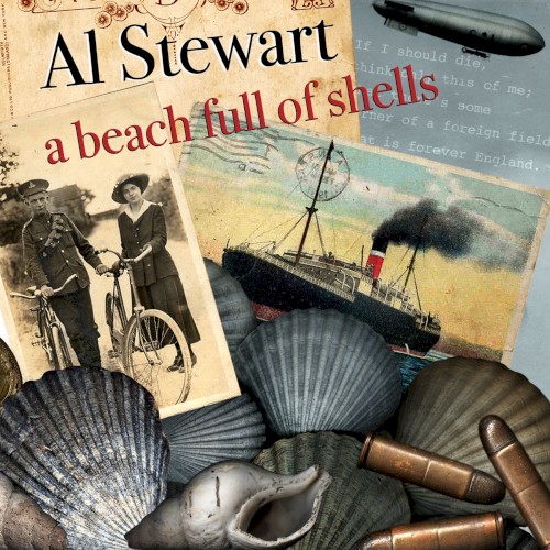 A Beach Full of Shells