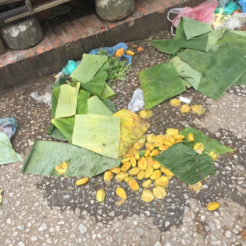 Starfruit