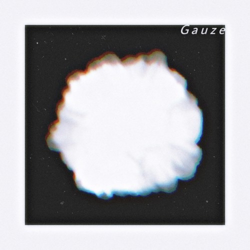 Gauze