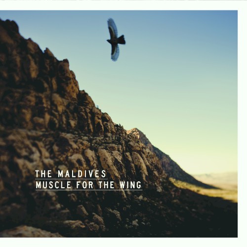 Muscle for the Wing