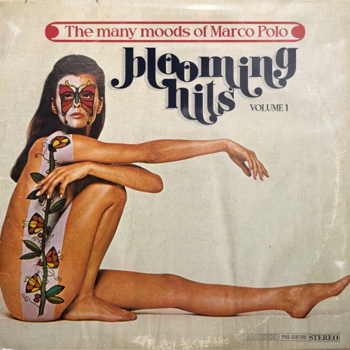 The Many Moods of Marco Polo Vol. 1