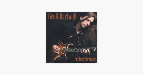 Perfect Stranger