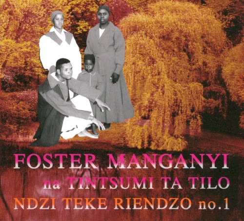 Ndzi Teke Riendzo