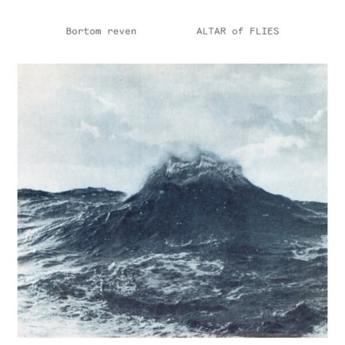 Bortom Reven