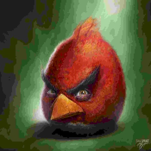 Angry Bird