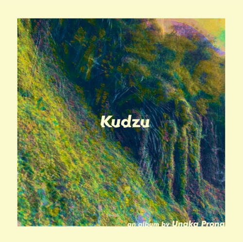 Kudzu
