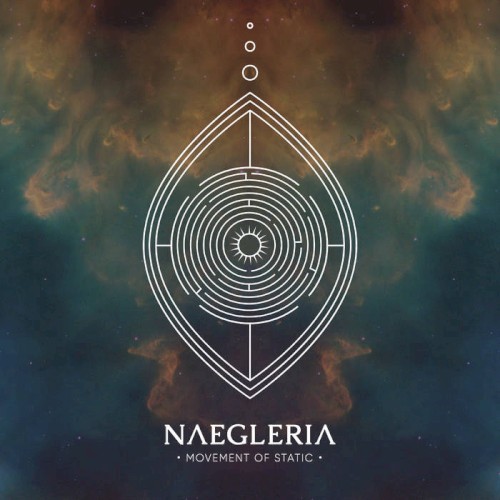 Naegleria