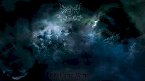 Feel the Wind