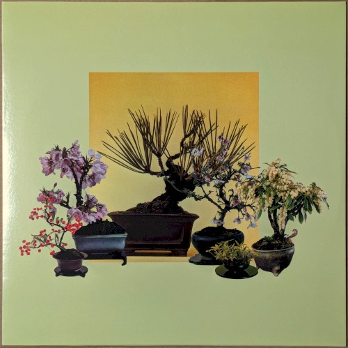 Woven Songs
