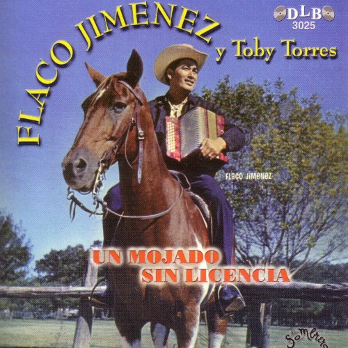 Un Mojado Sin Licencia