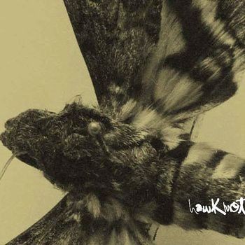 Hawkmoth
