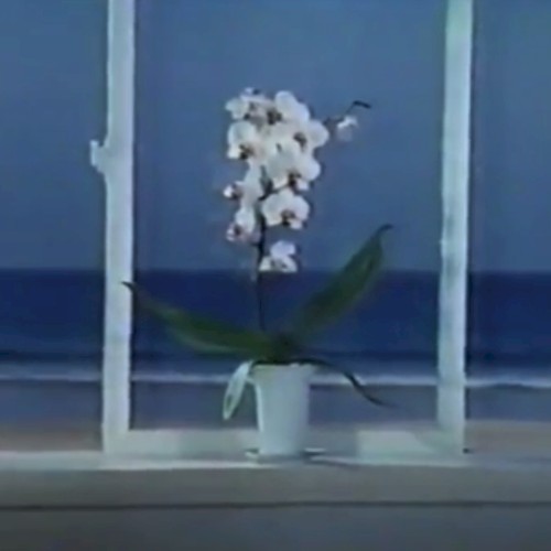 水に流す