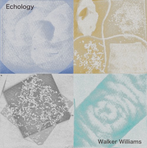 Echology