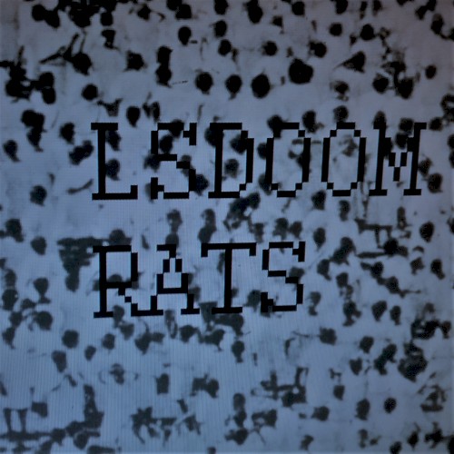 Rats