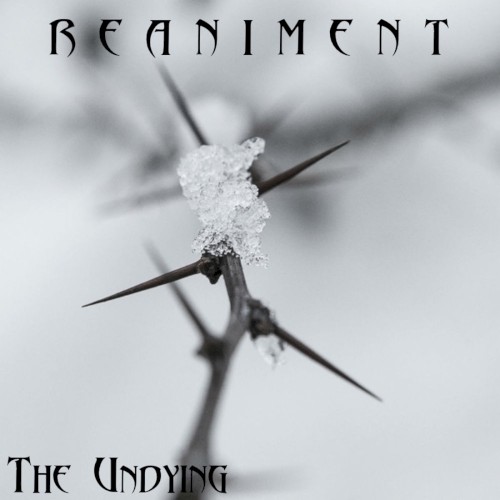 The Undying