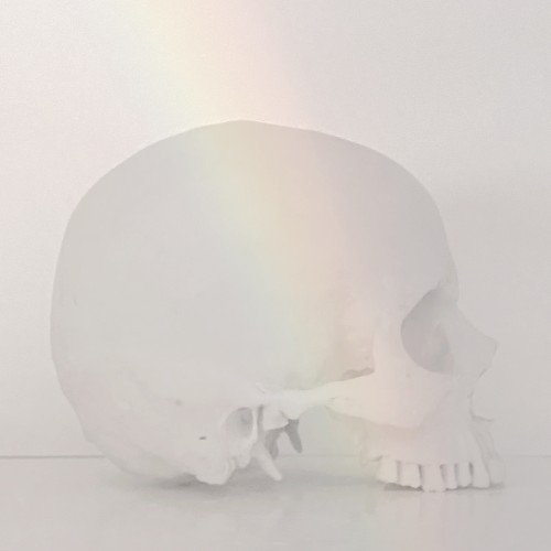 Everything Is Made of Glass