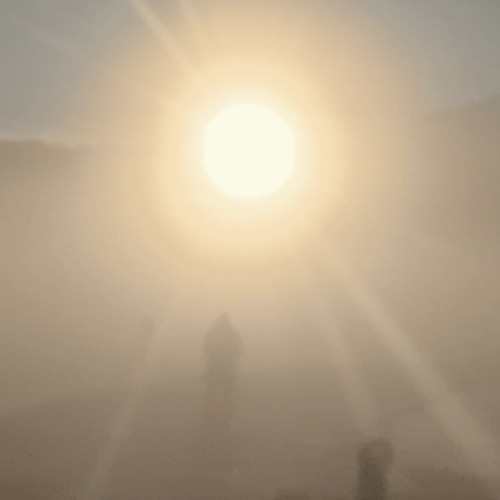 A New Life