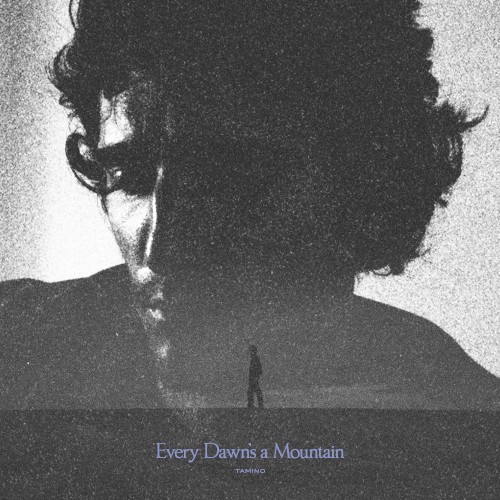 Tamino &ndash; Every Dawn’s a Mountain