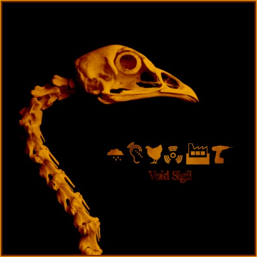 [Gallus Gallus]