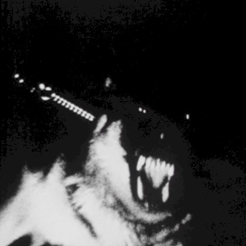 XVII