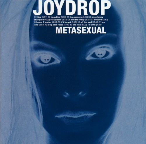 Metasexual