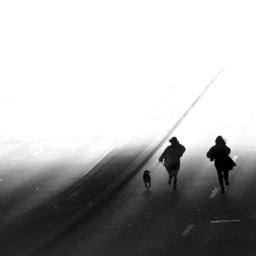Le Froid du feu