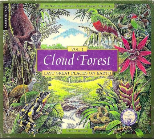 Cloud Forest