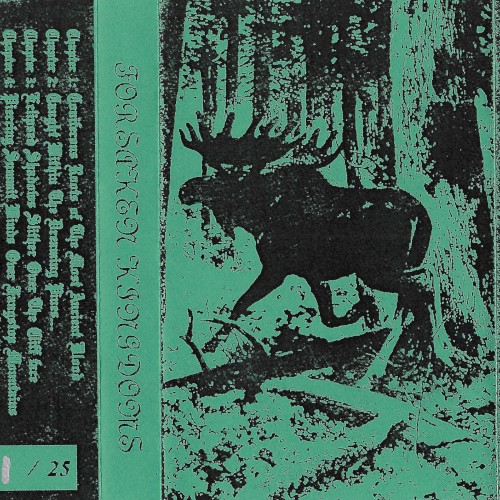 Caught Within the Dreaming Pines