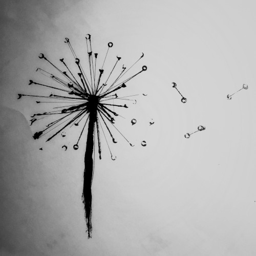 Meanderings