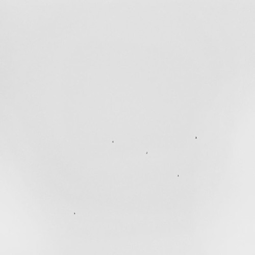 Conjectures