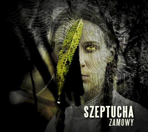Zamowy