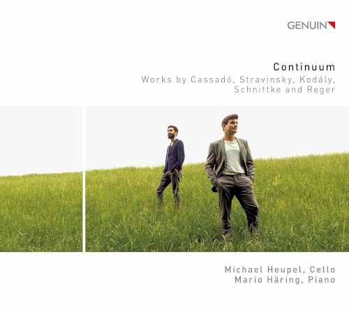 Continuum