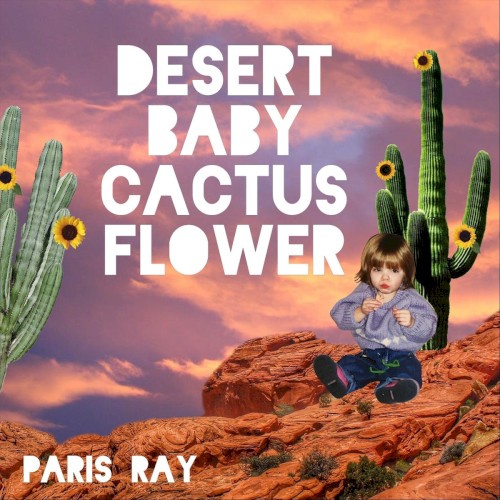 Desert Baby Cactus Flower