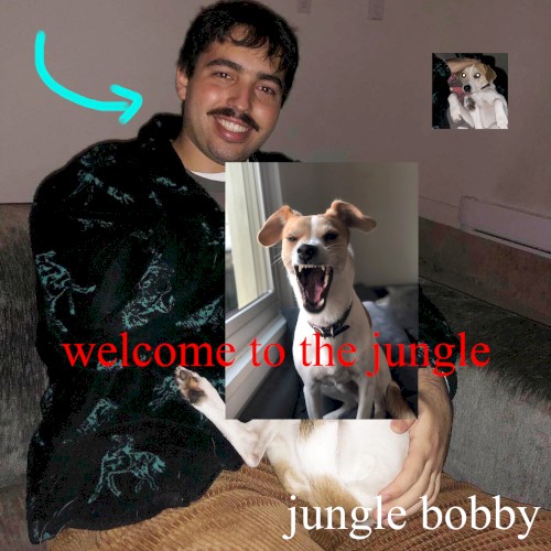 welcome to the jungle