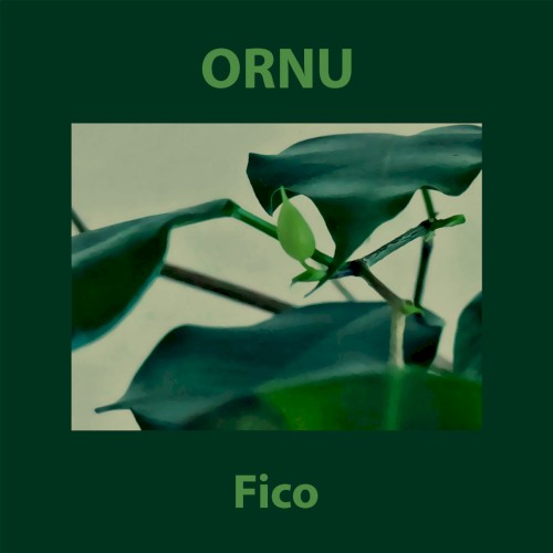 Fico