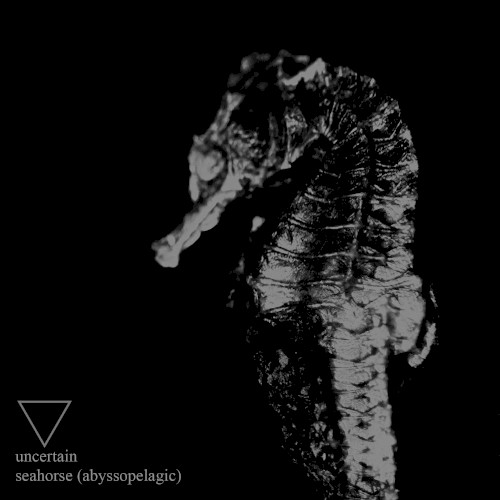 Seahorse (Abyssopelagic)