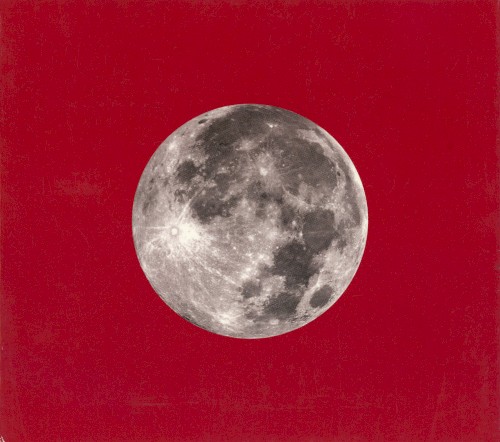 Red Letter Year