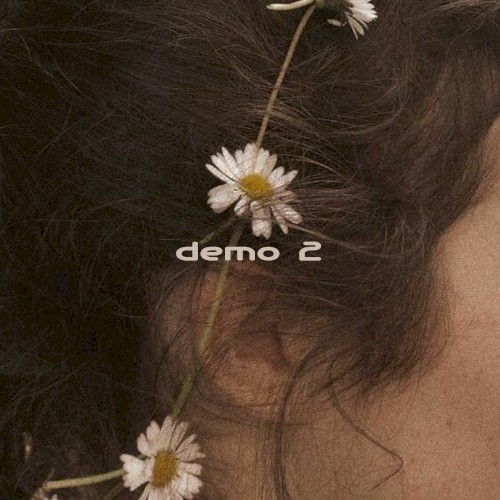 Demo 2