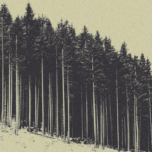 Blackened Mists