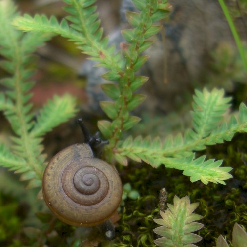 Opening Up