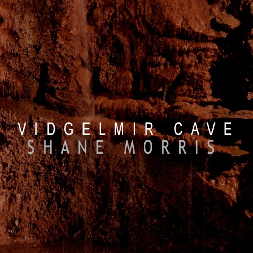 Vidgelmir Cave