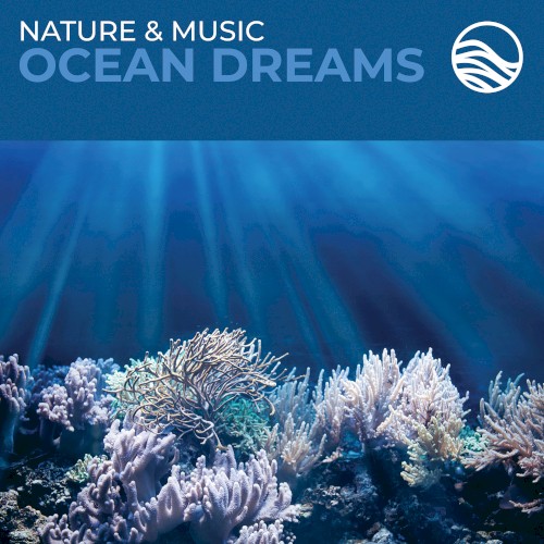 Ocean Dreams