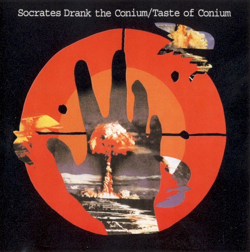 Taste of Conium